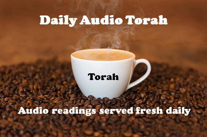 Daily Audio Torah